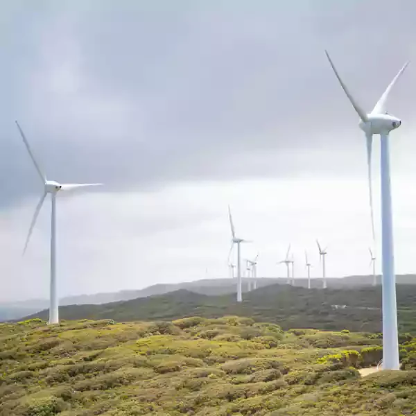Electrial conduit in new energy wind power generation